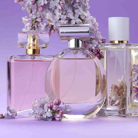 Buy Perfumes & Fragrances Online at Best Prices in Uganda