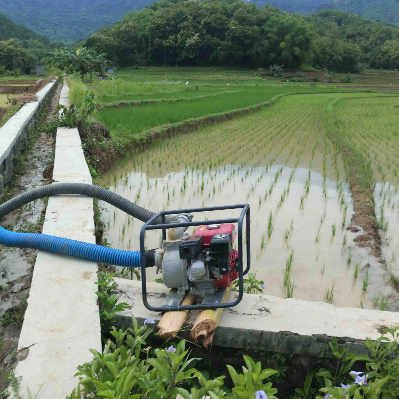 Buy Water Pumps for Irrigation at Best Prices in Uganda