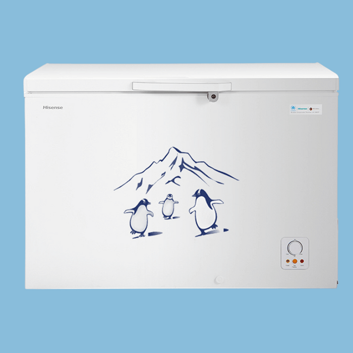 Hisense 400L Chest Freezer (Net 289L) - Single Door Deep Freezer, Grey (FC-40DT4SB1)