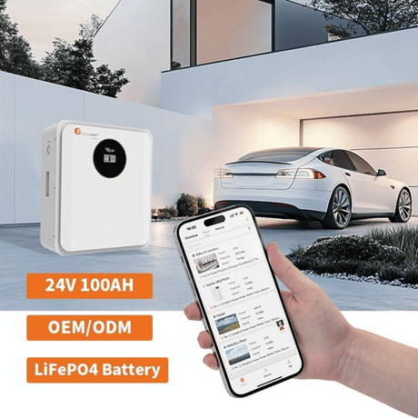 Felicity 25.6V 100Ah (2.56kWh)  Lithium LiFePO₄ Battery FLA24100, 2000W Output, 6000 Cycles