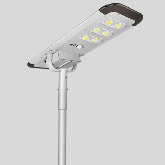 German Premier 100 W 12 V Solar Street Light
