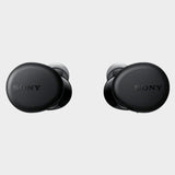 Sony WF-XB700 Extra Bass True Wireless Earbuds with Mic - KWT Tech Mart