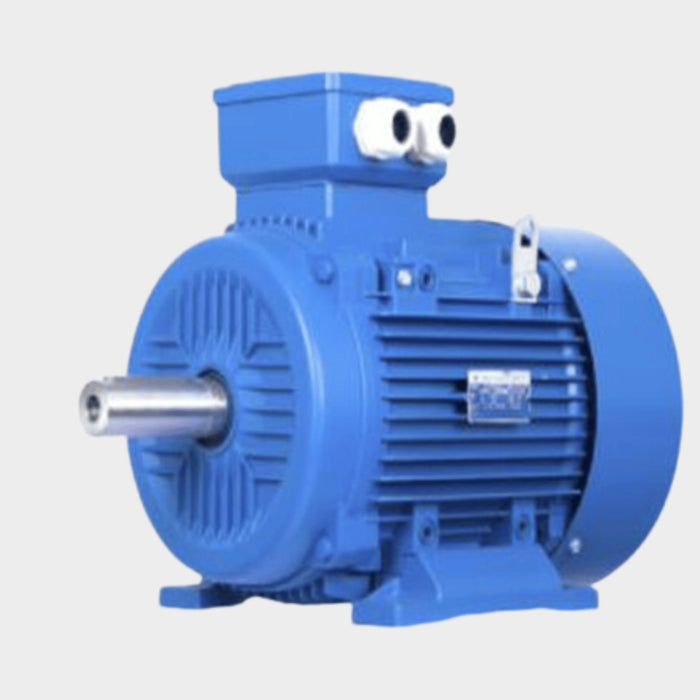 SPERONI 160L-4 - Three phase Electric Motor for Surface Pumps - KWT Tech Mart